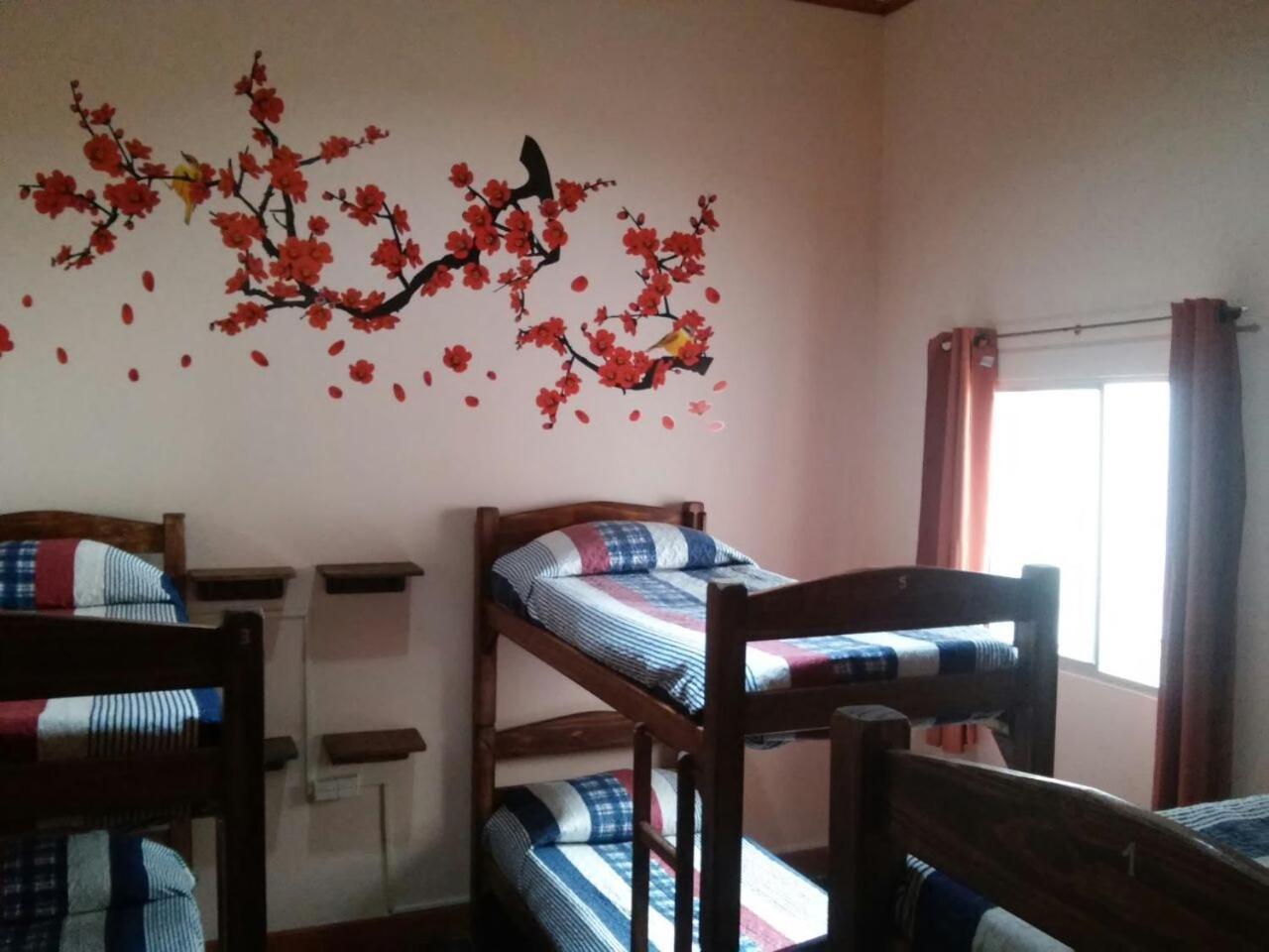 הוסטל מונטווידאו Posada Del Gaucho מראה חיצוני תמונה